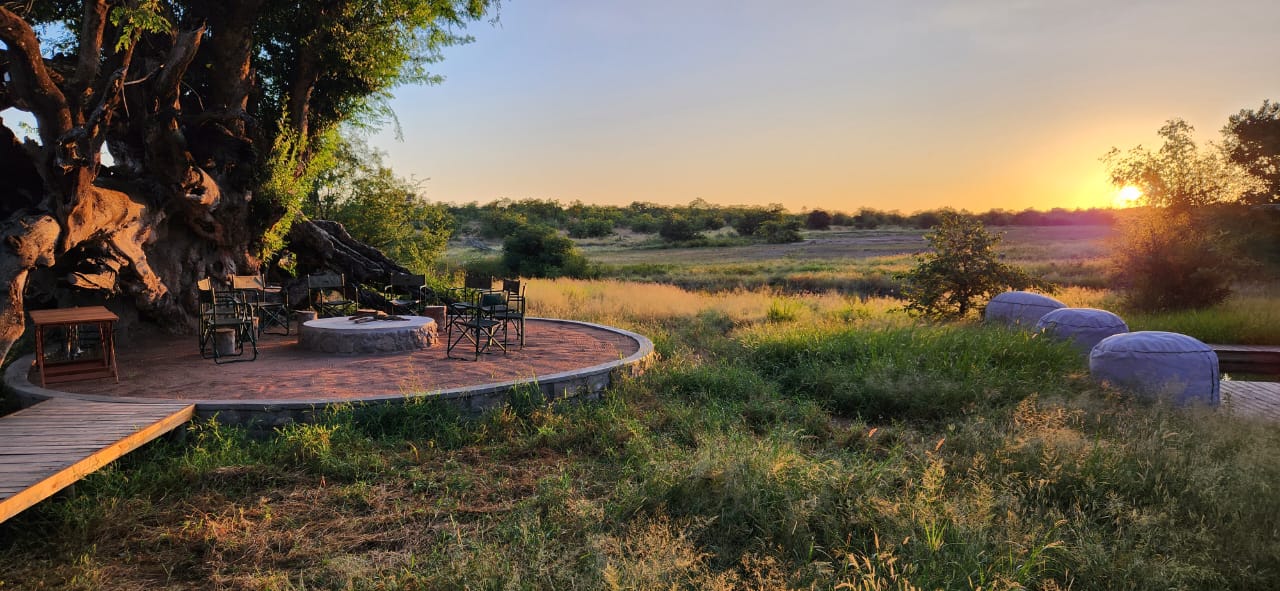 Seelen Safari Südafrika und Botsuana