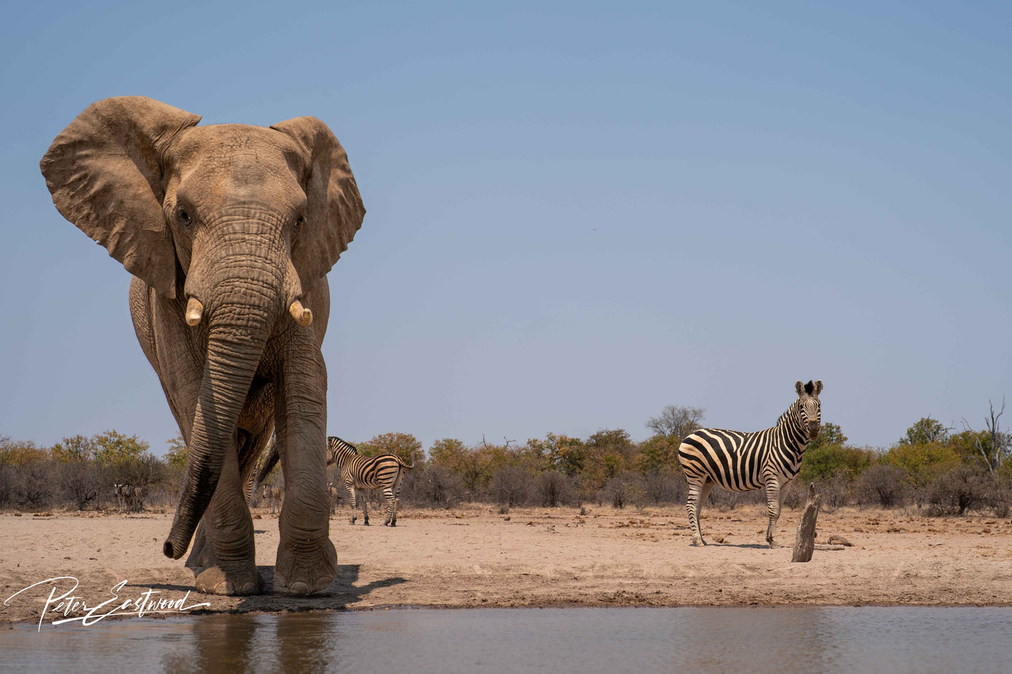 Seelen Safari Südafrika und Botsuana