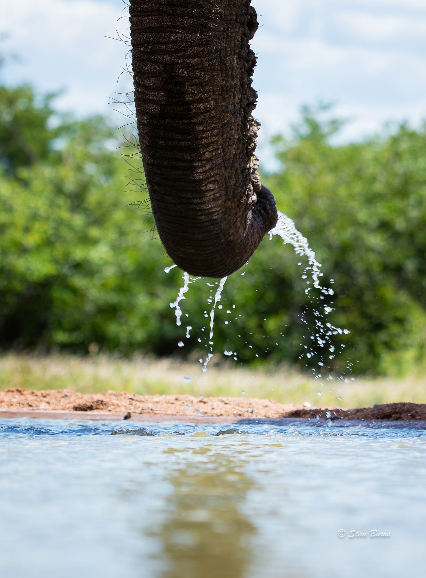 Seelen Safari Südafrika und Botsuana